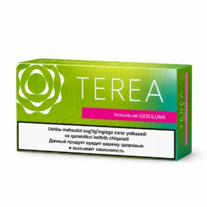 TEREA Green Zing Uzbekistan citrus menthol pack Abu Dhabi